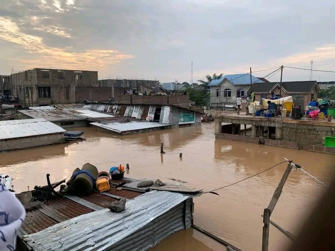 🕊️ULTRAPATRIOTE PAIX À L'EST DE MA PATRIE🇨🇩 tweet media