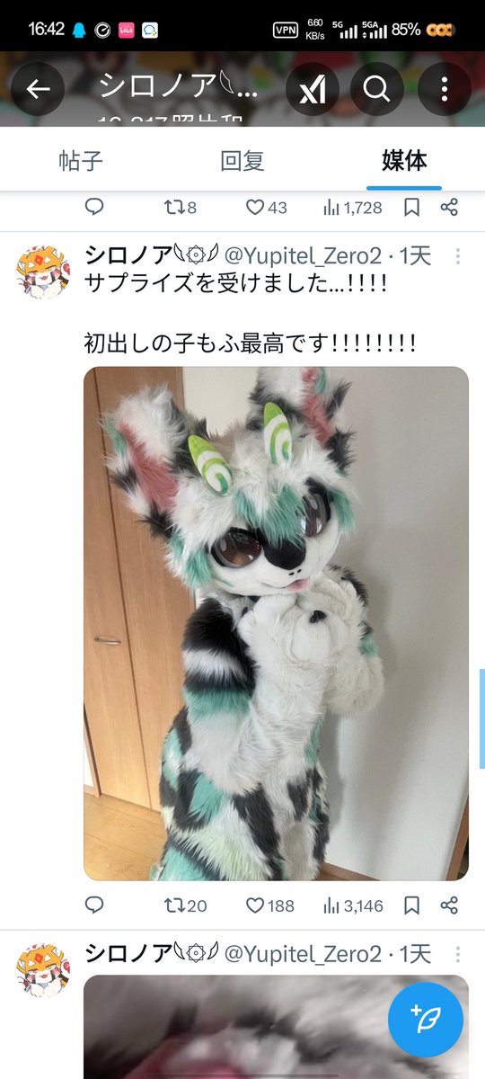 2025.4.6有朋友提醒在推上有一只高度相似的毛，仔细一看发现是被偷家了，希望大家看到之后多多转发🥺我需要一个解释和理由，希望推上的原主看到我们推上发的东西可以自己解决这件事情
p2-7是本人的证据 p9是可爱的御璃宝宝😋