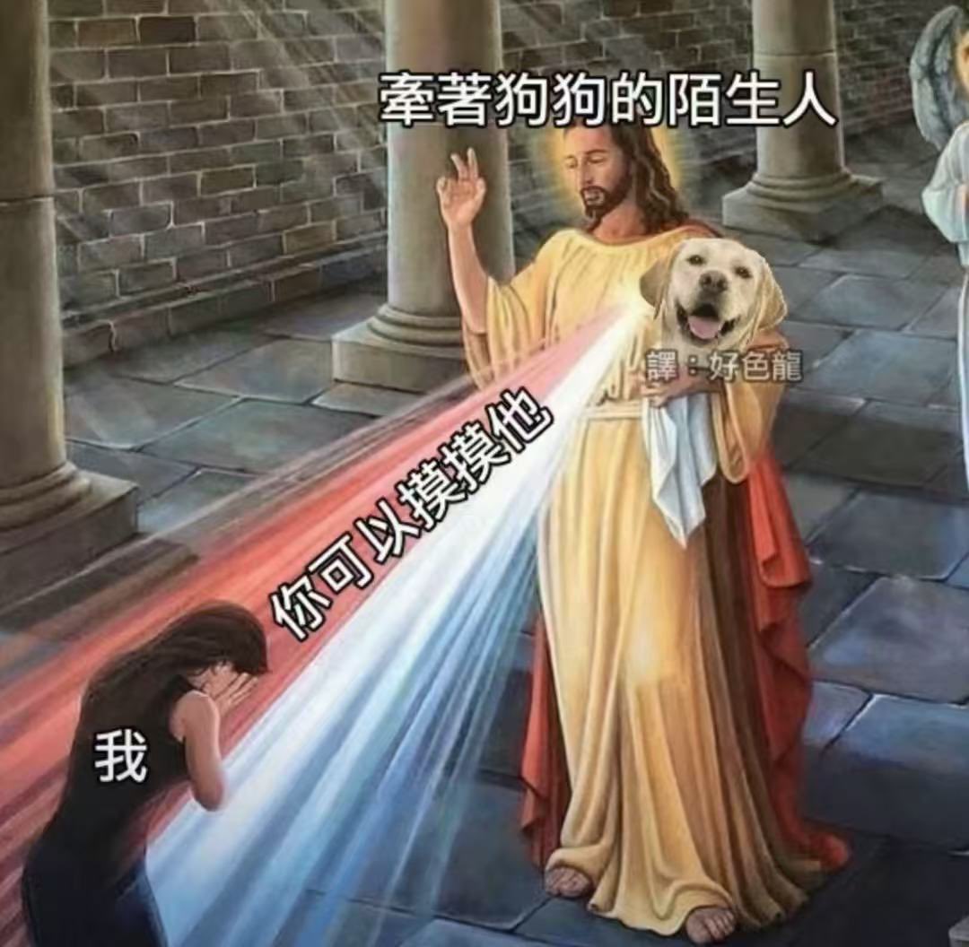 明明做之前和过程中都把我当m玩🐶
为什么要让我掐她啊一下就给我整不会了🥺
撞属性还骗我上床我真是服了😭