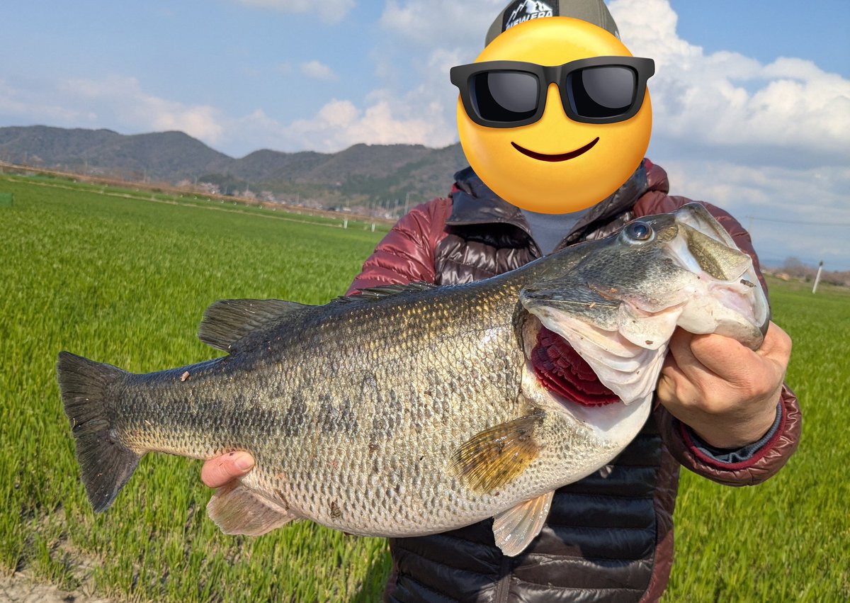 気ままにバス釣り(サカナのほね) tweet media