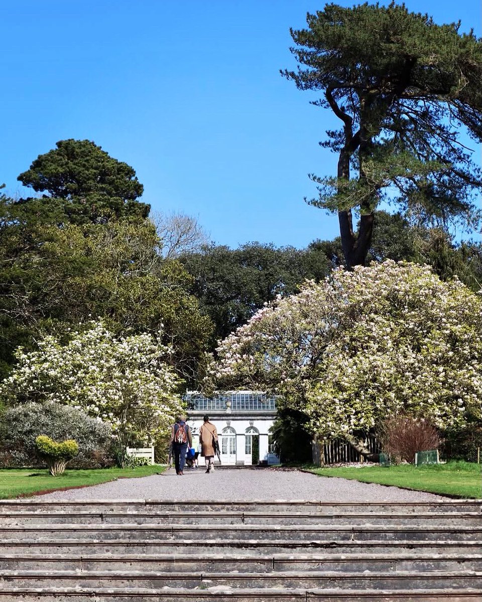 Sinéad Barry (@sineadbarry77) on Twitter photo Magnolia Season @fotahouseandgardens #spring #april #magnolias #magnolia #magnoliaseason #flowers #couple #sunshine #bluesky #LovingCork #fota #cork #ireland #canon #filter <a href="/CorkDaily/">Cork Daily</a> <a href="/yaycork/">Yay Cork</a> <a href="/corkbeo/">Cork Beo</a> <a href="/pure_cork/">Pure Cork</a> <a href="/CravingCork/">Craving Cork</a> <a href="/LovingCork/">LovingCork</a> <a href="/irishexaminer/">Irish Examiner</a> Magnolia Season @fotahouseandgardens #spring #april #magnolias #magnolia #magnoliaseason #flowers #couple #sunshine #bluesky #LovingCork #fota #cork #ireland #canon #filter <a href="/CorkDaily/">Cork Daily</a> <a href="/yaycork/">Yay Cork</a> <a href="/corkbeo/">Cork Beo</a> <a href="/pure_cork/">Pure Cork</a> <a href="/CravingCork/">Craving Cork</a> <a href="/LovingCork/">LovingCork</a> <a href="/irishexaminer/">Irish Examiner</a>