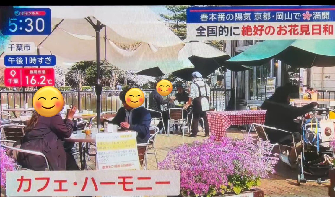 CHarmonyChiba's tweet photo. 昨日5日（土）もテレビ朝日のスーパーＪチャンネルでまもなく満開の千葉公園🌸が紹介されました。ボートを漕ぎながらのお花見ができる千葉公園ですが、残念ながら明日は月曜日なので、ボートは、お休みです。カフェは🌸休まず営業いたします。#千葉公園カフェハーモニー　#蓮華亭売店　#千葉の桜 https://t.co/FLvnNj9z0H
