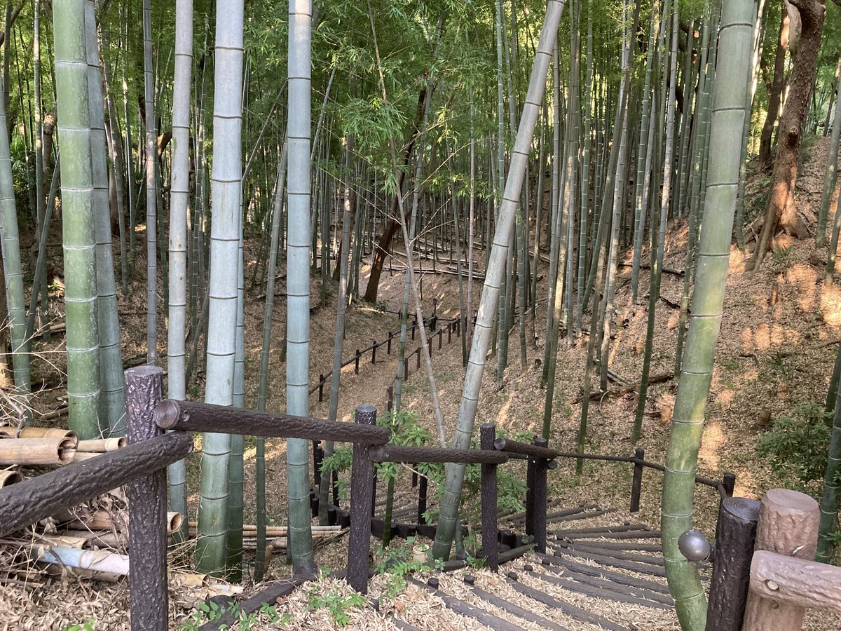 RekiSiroFan's tweet photo. #4月6日は城の日だから城の写真を一斉にあげよう https://t.co/YQqfYzYYPD