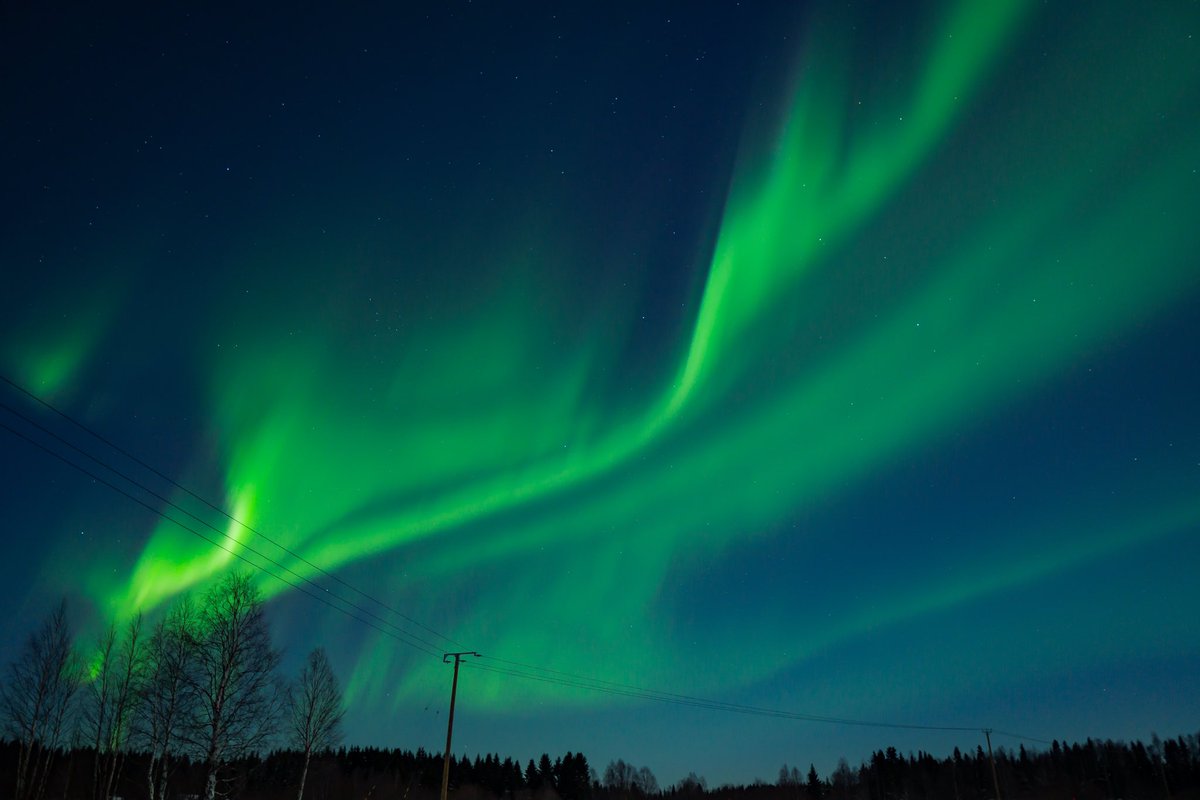 NardelliBryan's tweet photo. 🌌C'est un métier à faire rêver petits et grands. A 29 ans, cette jeune avocate a pris un aller sans retour direction la Laponie. Chaque soir, elle scrute le ciel sans relâche. Immersion dans le quotidien hors du commun des chasseurs d'aurores boréales

Lien en commentaire 👇 https://t.co/ThjprQ4WWr