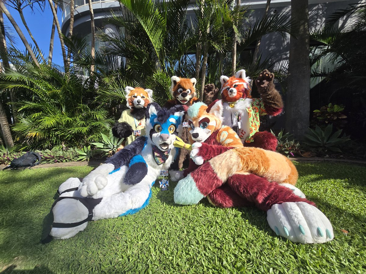 Pascal Red tweet media