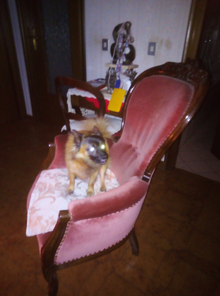 Anche il mio morde "per istinto". Che male però. #eurosportciclismo