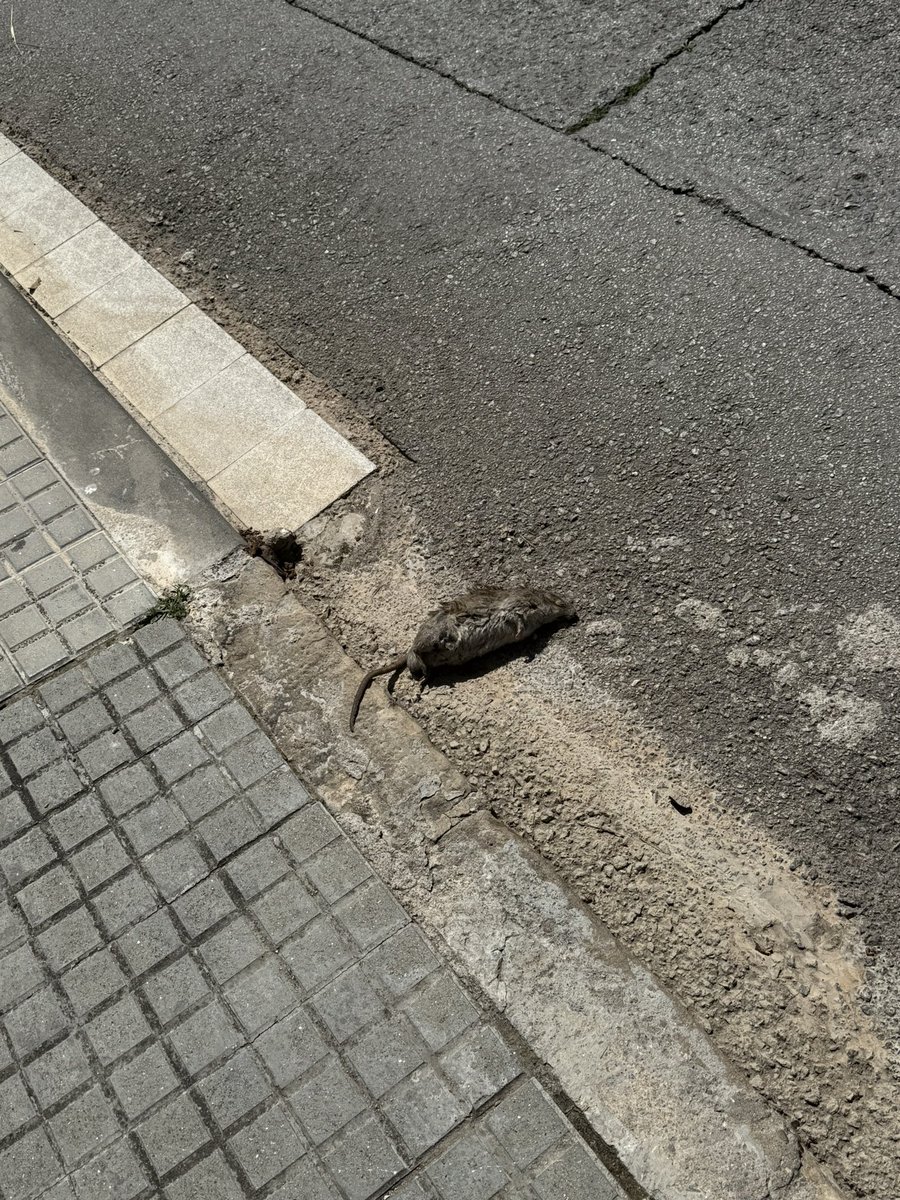 El.vecino.cabreado tweet media