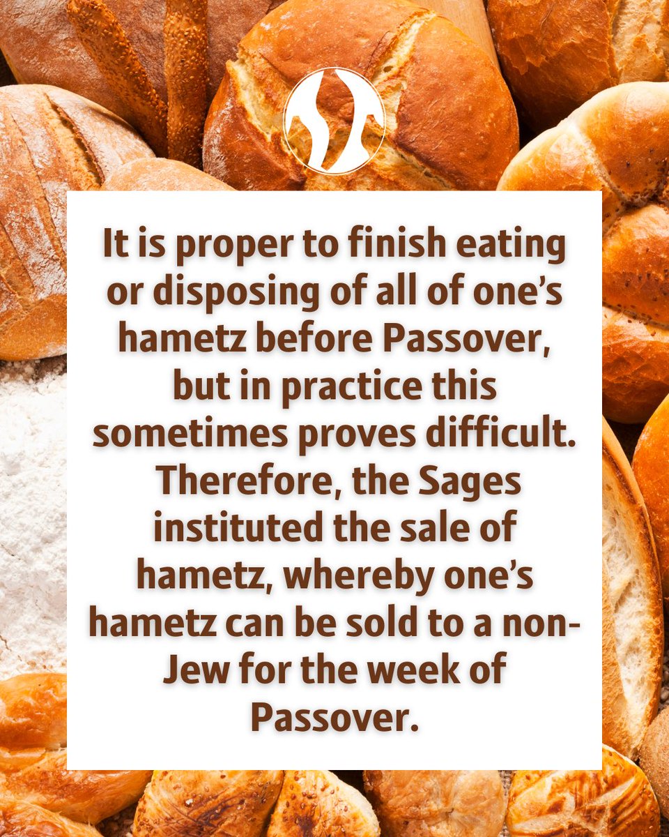 RabbiSteinsaltz's tweet photo. About ‘Mechirat Hametz’ - selling hametz - from the book Concise Guide To Halakah.
For further reading check out our Steinsaltz Portal:
https://t.co/vPeHludRqv
Sell your hametz here online:
https://t.co/Wcpgv45iGK
Happy Passover!
#steinsaltz #letmypeopleknow #passover https://t.co/aue86HfKz5