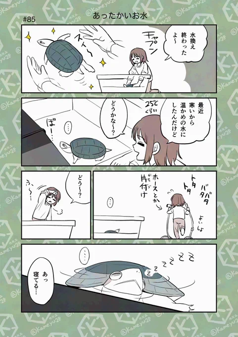 亀飼い4コマまとめ (3/4) 