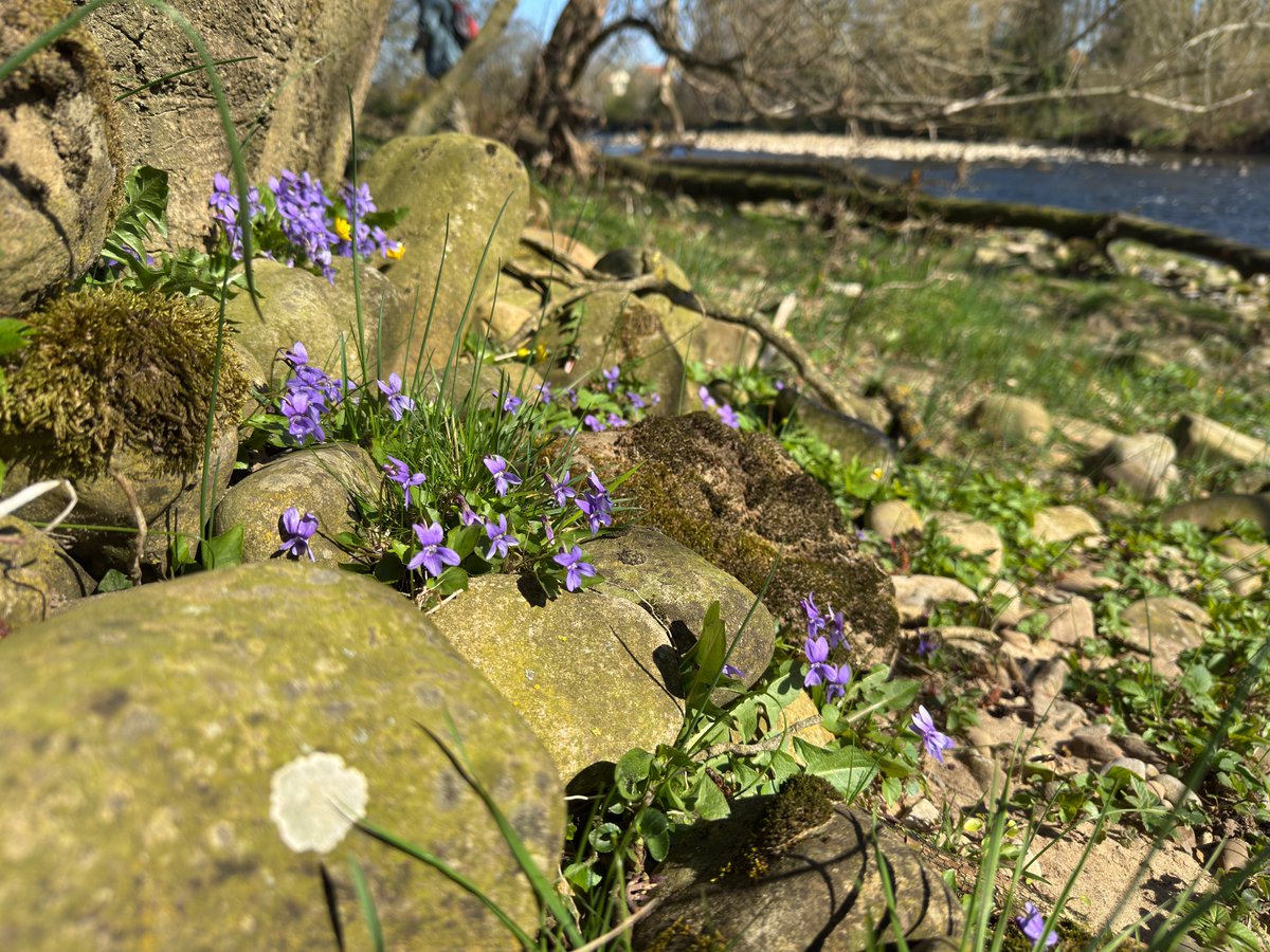 Swale Outdoors tweet media