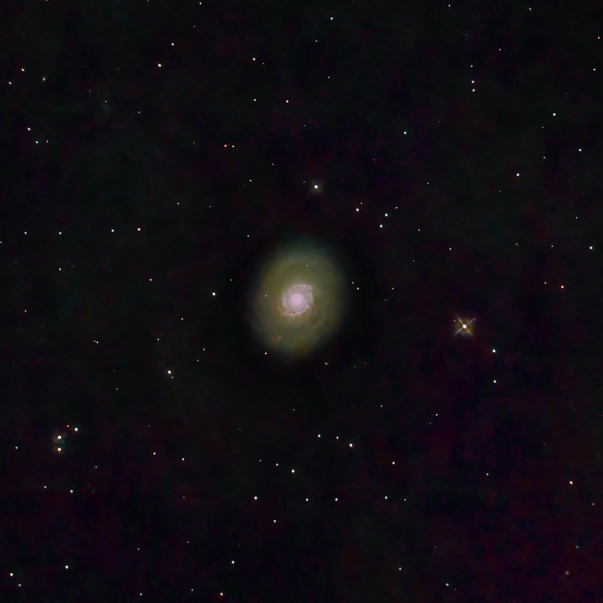 Nick Williams 🔭📷✈️ (@nick_e4astro) on Twitter photo Definitely getting into #GalaxySeason… a selection of some lovely sights in the spring skies, imaged from NE London early April with my 6” StellaLyra RC scope.
M63 Sunflower Galaxy
M106 spiral galaxy
M94 Croc Eye Galaxy
#astrophotography
<a href="/FLO_UK/">First Light Optics</a> Definitely getting into #GalaxySeason… a selection of some lovely sights in the spring skies, imaged from NE London early April with my 6” StellaLyra RC scope.
M63 Sunflower Galaxy
M106 spiral galaxy
M94 Croc Eye Galaxy
#astrophotography
<a href="/FLO_UK/">First Light Optics</a>