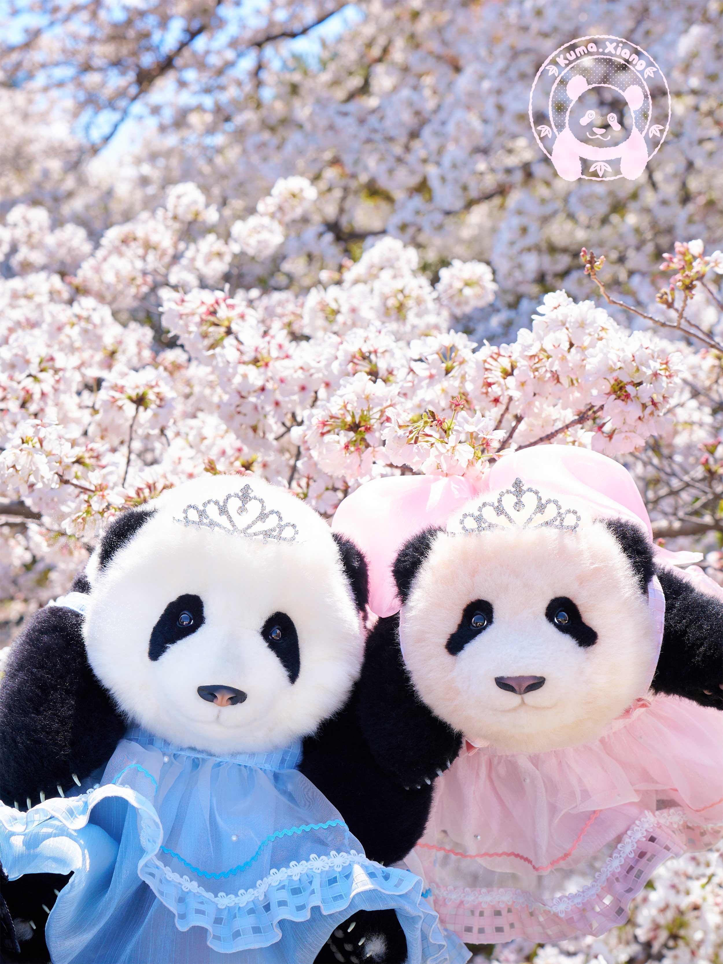 kuma.xiang (@kumaxiang) / X