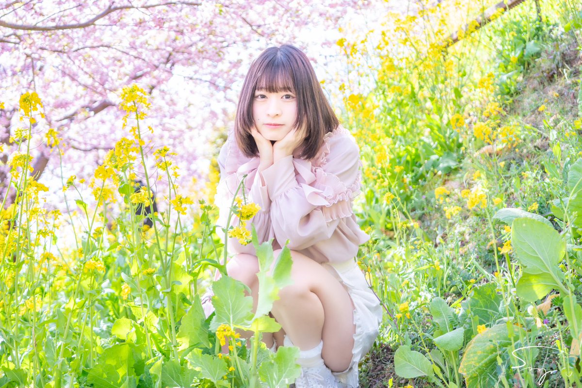 桜と菜の花が最高の春色

#作品撮り #被写体