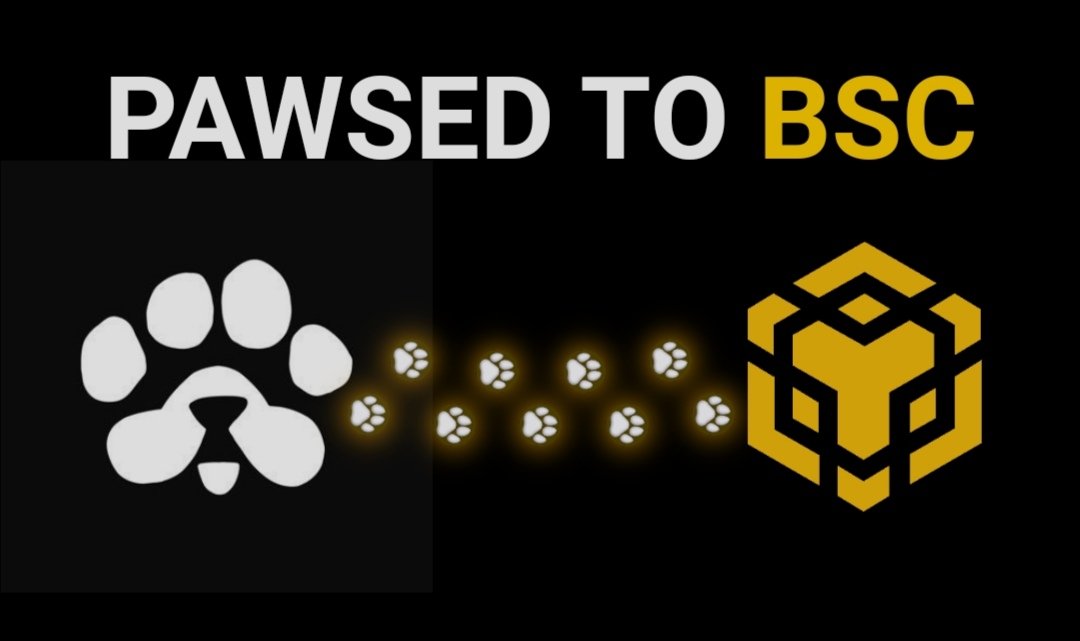 PAWS_SOL_BSC's tweet photo. 🚀 Big news, PAWS Community!

PAWS is now live on Binance Smart Chain (BSC)! 🎉 This expansion makes PAWS more accessible, faster, and more versatile across both ecosystems. The listing is just around the corner – all the wait will be worth it! Stay tuned for more updates!

#PAWS https://t.co/dtmy3QQ53W