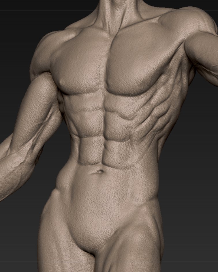 Yiling_Zou's tweet photo. 美型男🫣
#anatomy #references #art #anatomy4sculptors #wip #zbrush https://t.co/rMgMBUDr1e