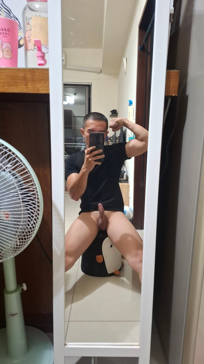 小鳥只能被欺負……