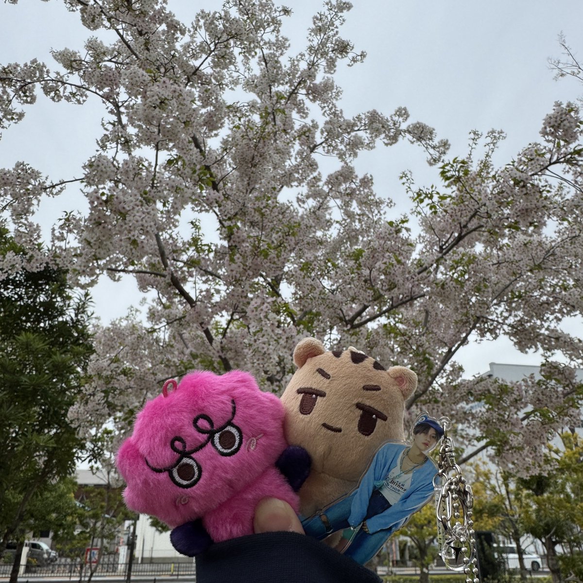 5mnh_'s tweet photo. 2週に渡るシャヲル活動、幸せだった https://t.co/gdFpDs2fhE