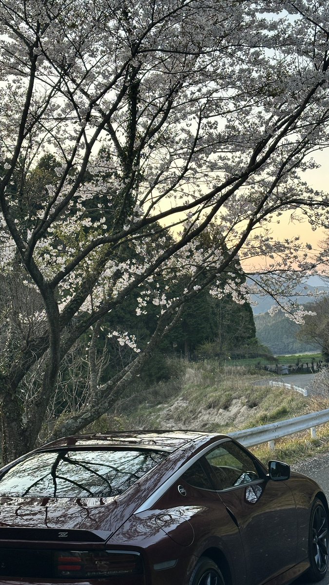 kn2sty's tweet photo. my new gear

NISSAN Fairlady Z

ニヤニヤが止まらないカッコ良い車
何年越しかで色々ご縁がありようやく納車できました。

Zオーナーの皆様これからよろしくお願いします。

#RZ34 #フェアレディZ #納車 https://t.co/zA5qol3jYX