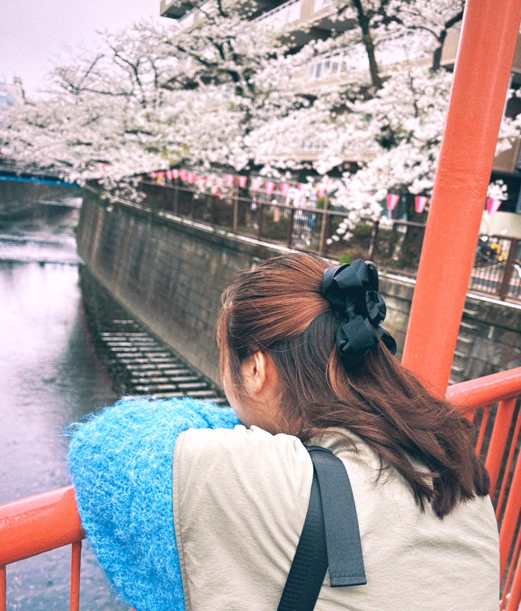 _hamayaki0's tweet photo. 桜見てきたよ🌸🍃
大好きが沢山写真撮ってくれたよ📸
 #写真 #フィルムチェキ風 #エモ #写真好きな人繋がりたい #桜 #カメラ #被写体は苦手 https://t.co/Ho1xnswLLK