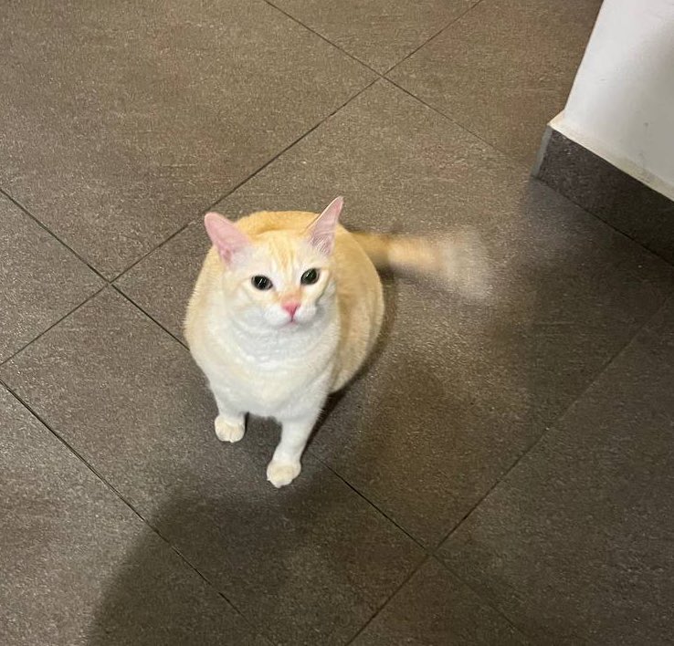 Nak ikut raya boleh?