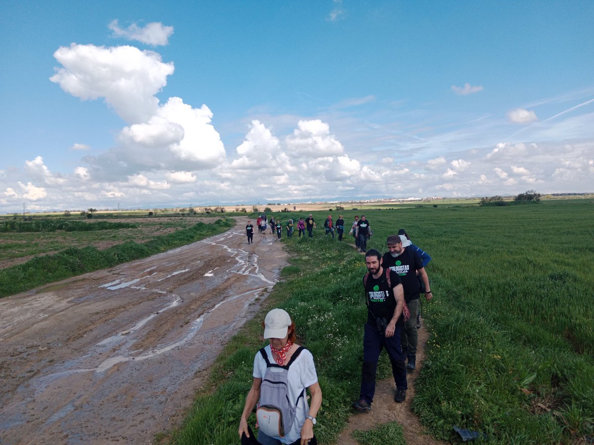 Marcha por el corredor ecológico en el día de las vías pecuarias #6AVVPP De Villaviciosa de Odón hasta #Alcorcón