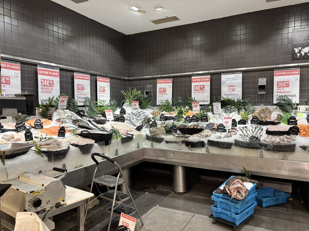 Eleanor Beardsley tweet media