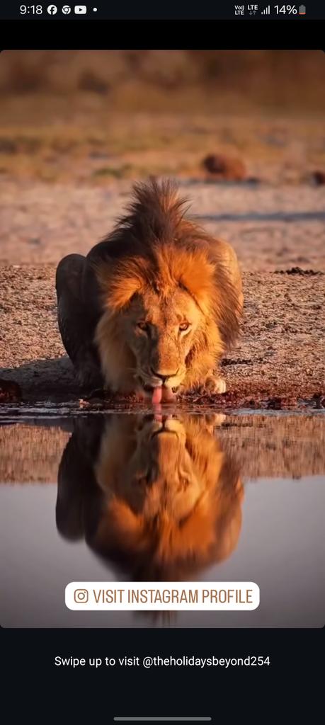 Good evening dear friend 🧡