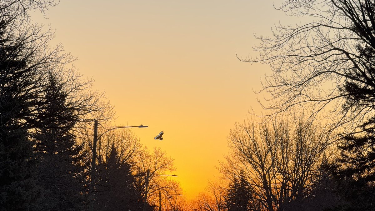April 6, 2025 sunrise. ☀️