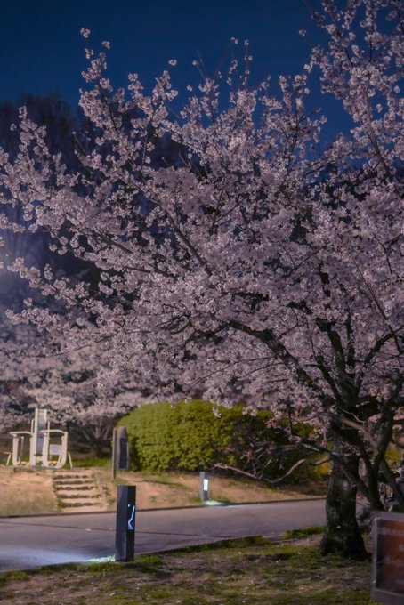 Twitterのコスプレ画像6