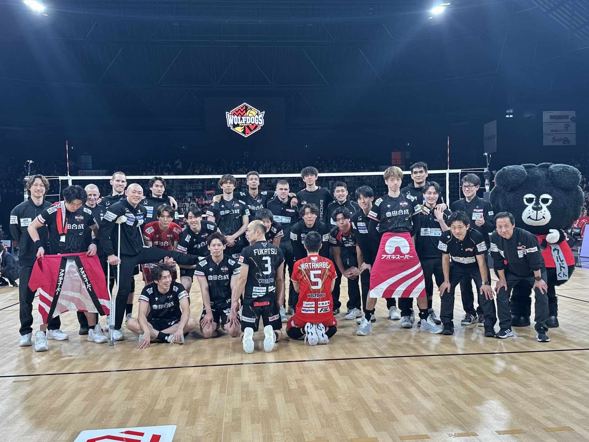 激レア❗️❗️SVリーグ　ウルフドッグス名古屋　支給ポロシャツ 激レア❗️❗️SVリーグ ウルフドッグス名古屋 支給ポロシャツ