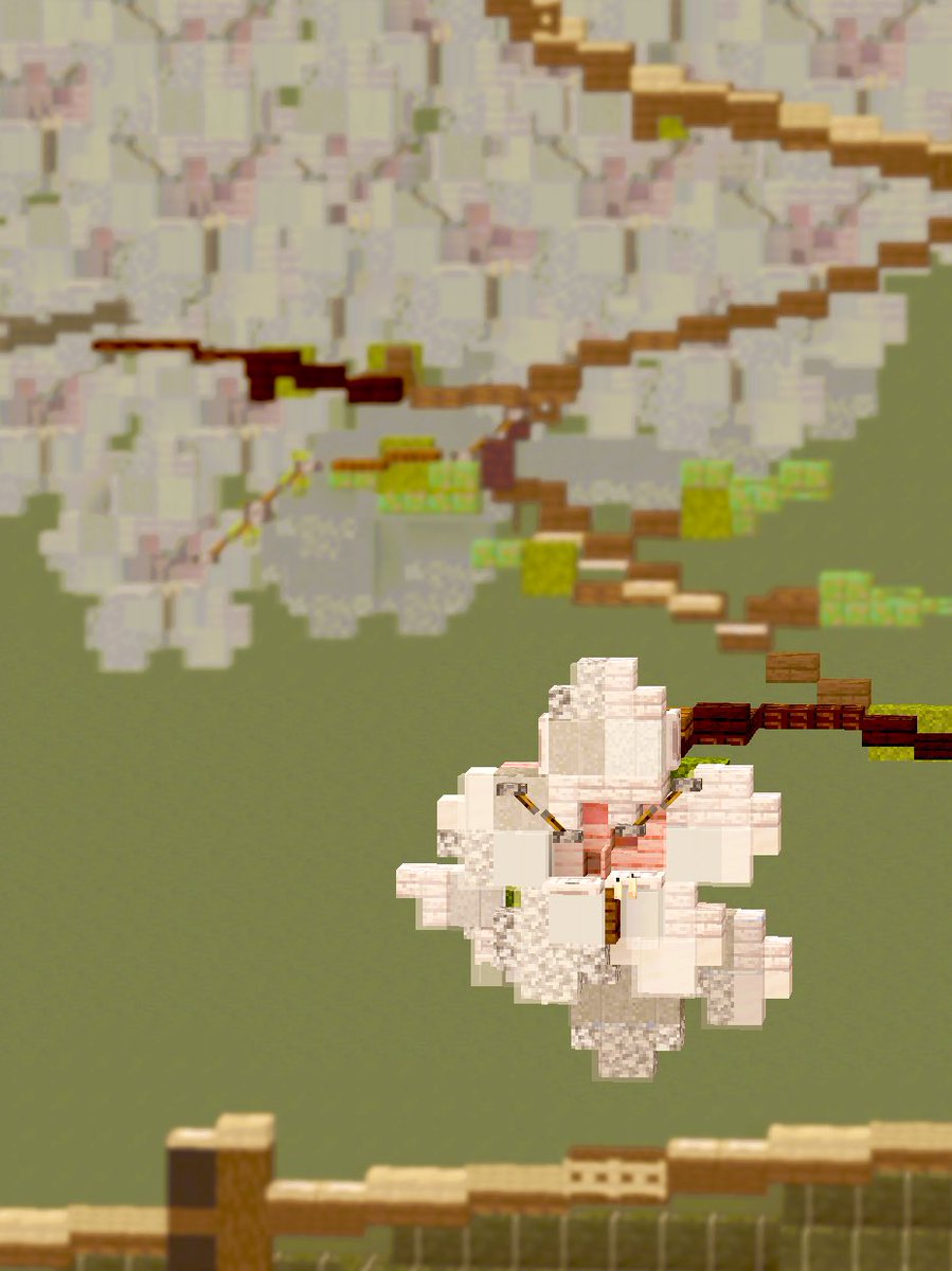桜 - マインクラフト
#minecraft建築コミュ #Minecraftbuilds #桜