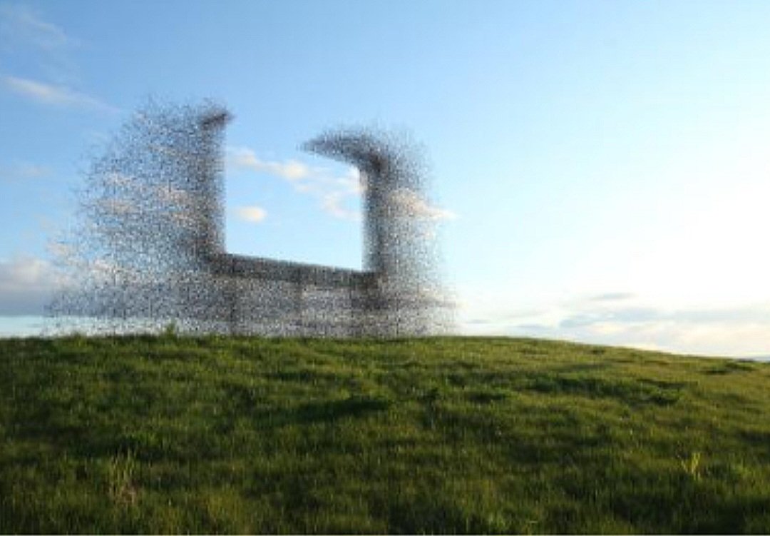 ScenicJax's tweet image. What's the value of open space on our horizon? "Non Sign II" in Blaine, WA was created by artists in 2010 to highlight the negative impact of ubiquitous billboards. Rather than compete with the landscape for attention, it provides a framework for viewers to appreciate the skies.