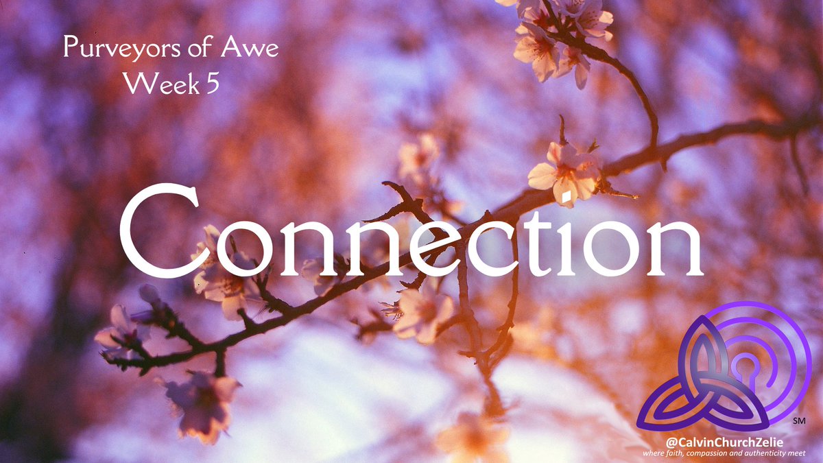 CalvinPresZeli's tweet image. Come worship with us today @ 10:00 a.m. in person or online: ow.ly/71qn50TgOxH 
Watch anytime, with anyone, from anywhere thereafter.   

Guided Study and Journal: ow.ly/wfp850V9Hrl  
#Lent #PurveyorsofAwe #WeekFive #JesusandConnection