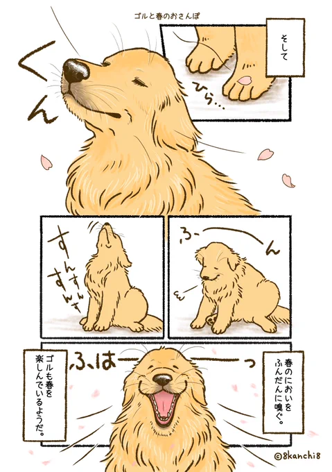 ゴルと春のおさんぽ(2/2) 