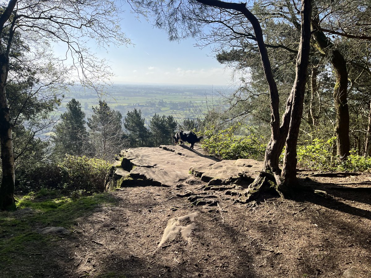 Best way to spend a Sunday morning