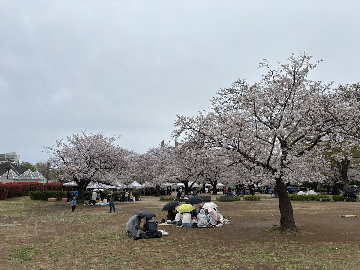 shin_bga's tweet photo. 花見🌸 https://t.co/VEVfbDHEuJ