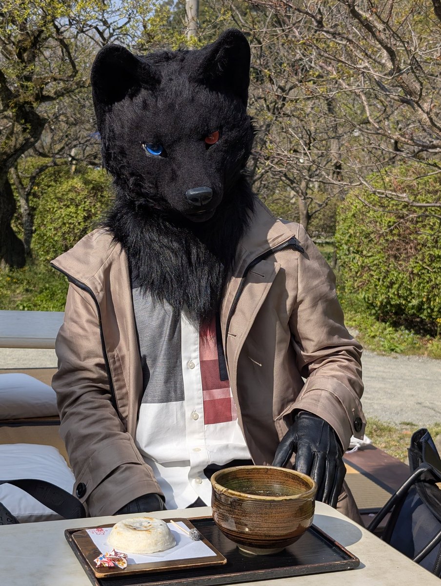 Teal_Rubedo_Nyx's tweet photo. 待てが出来ない小狼

#FursuitEveryday 
#創造トリアノン 

📸
@kabe_117 https://t.co/ldl151uHeZ