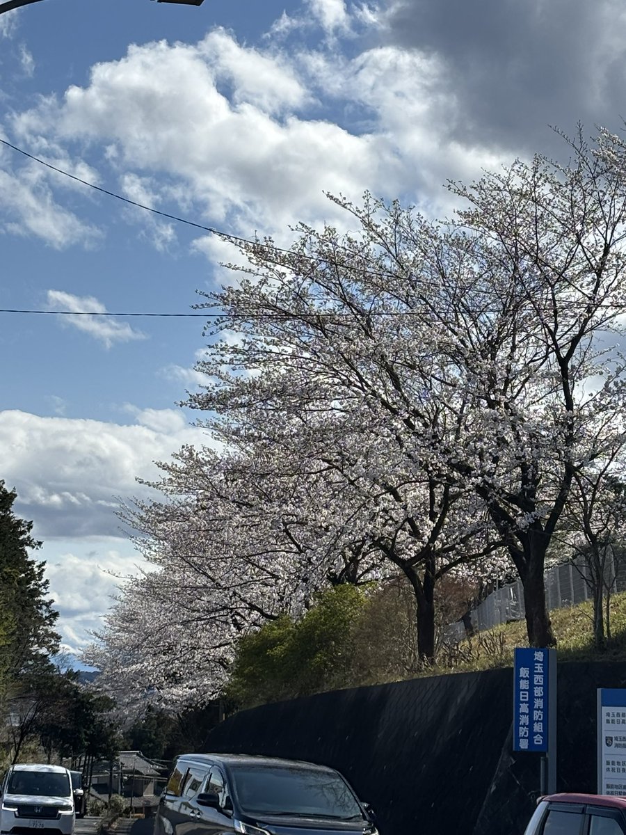 heizelwood's tweet photo. テスト2回目。
気温が上がる予報だけど雨の可能性もあったので、最低気温あたりに合わせたウェア。
結局、終日ほぼ晴れの天候で、気温が高めのテストができた。
熱がこもる感じはないが、背中は風の通りが悪い。アンダーで対策できる範囲だと思う。
#ProtectCyclists
コース:定峰200 https://t.co/H7DqHttee7
