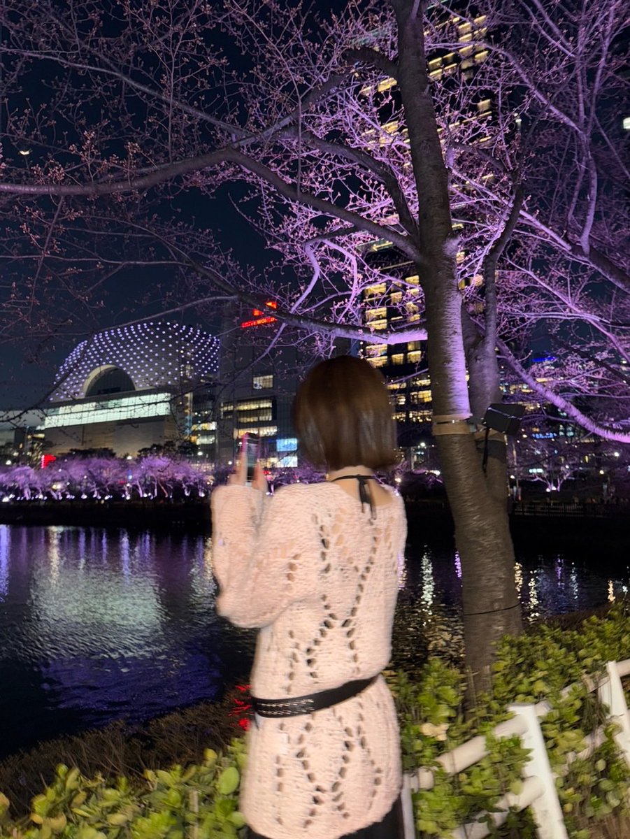 winrina_bbl's tweet photo. 💙💭 250406
[8:58pm KST] 

+3 pics

“Not too long ago, after a schedule, I went to see the cherry blossoms with manager unnie🌸🌸” 

“Though I almost have no photos of me facing the front”

“Hurhur”

“I wonder if the flowers have fallen now since it rained🥹” https://t.co/zthTvhBqCS