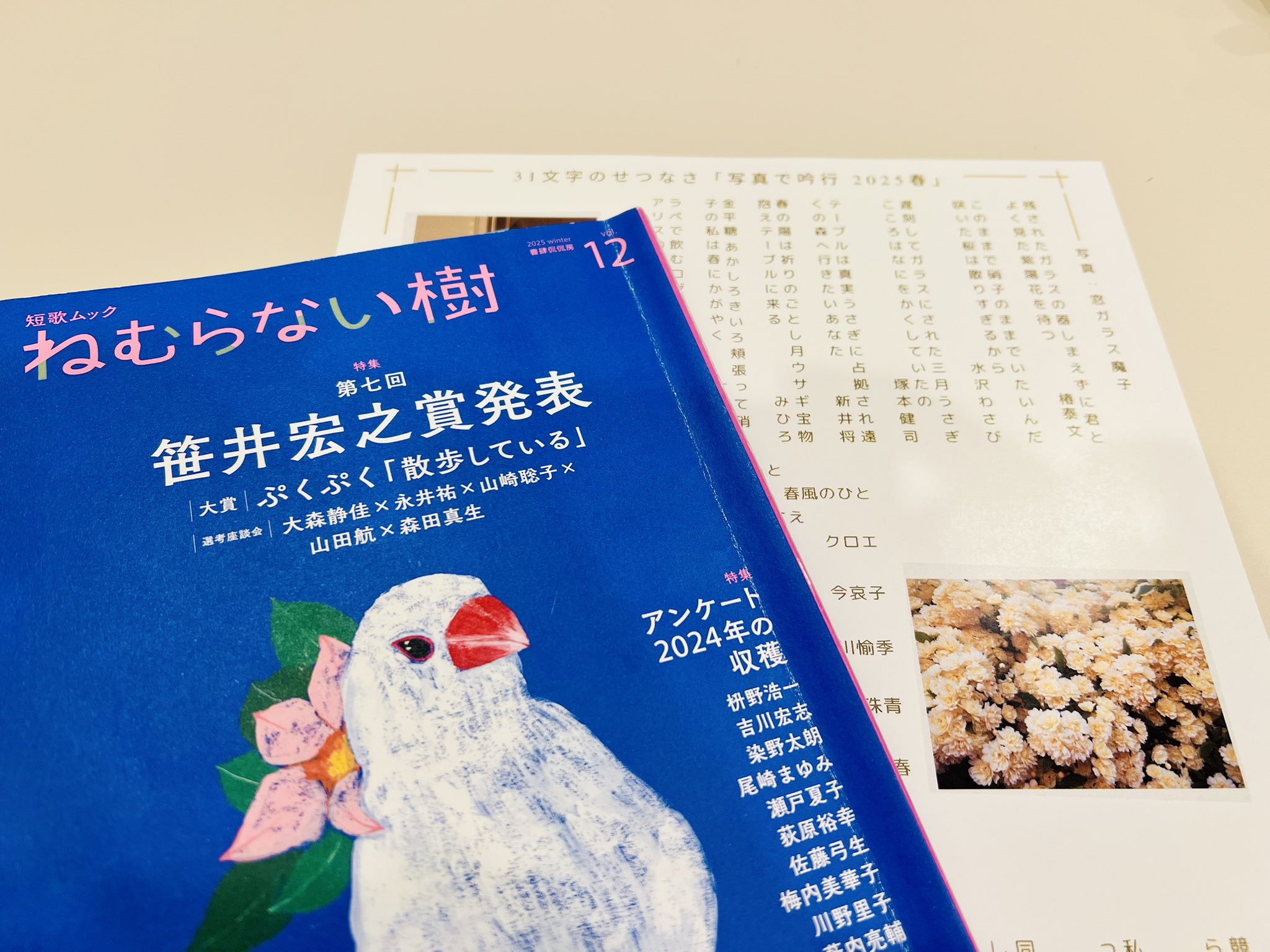 鈴木晴香 on X: 鈴木晴香 on X: