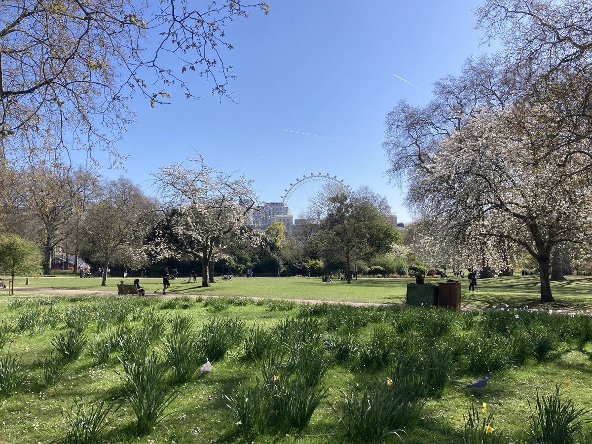 wazzo_m's tweet photo. Glorious spring morning in #StJames’s Park …. sun shining, birds singing, bands playing, and runners running! ⁦@theroyalparks⁩ ⁦@TRPGuild7⁩ ⁦@ThorneyIslandSo⁩ ⁦@ArmyInLondon⁩ ⁦@Householddiv⁩ #changingtheguard https://t.co/qs6Ng1OoLI