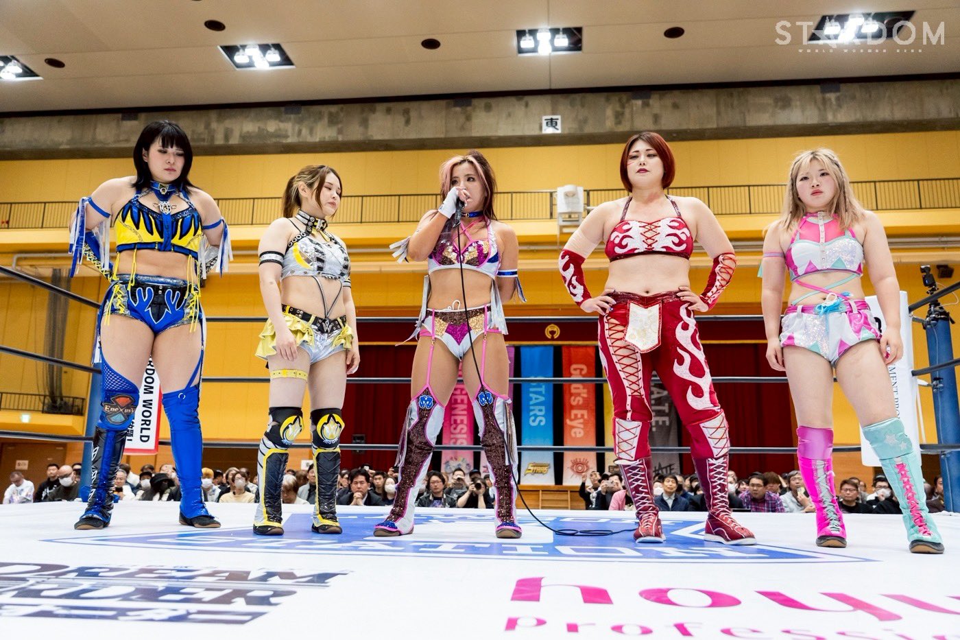 【美品】DVD　白川　未奈STARDOM スターダム　　　　FULL　BODY Mina Shirakawa♡白川未奈 on X: 