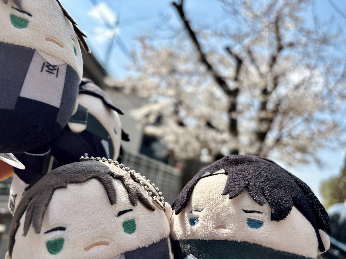 oyolooo's tweet photo. 3.30/エレ君お誕生日してきた😳
お花見もできた！満開だったよ✌︎ https://t.co/wVgEp7l6pq