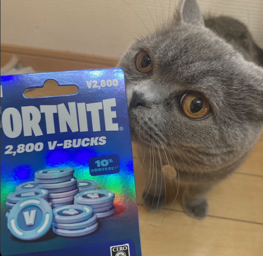 ki1_7's tweet photo. 今シーズン1桁獲ったらチームが提供してくれるっていってくれてるので【2,800VーBUCKS】を抽選で1名の方にプレゼントします！
【条件】引用元いいね＆リポスト
@ki1_7 @blue_7_seven のフォロー
【期限】4/12の午前0時 https://t.co/uOnVLSTjoE