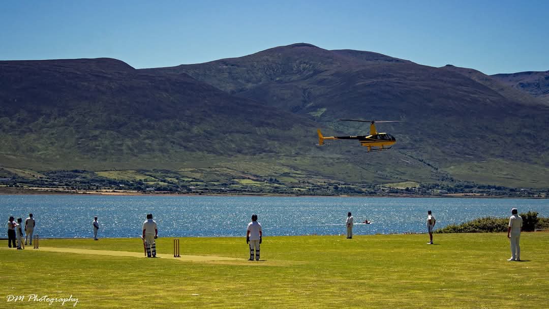 Cricket Picture that Goes Hard tweet media