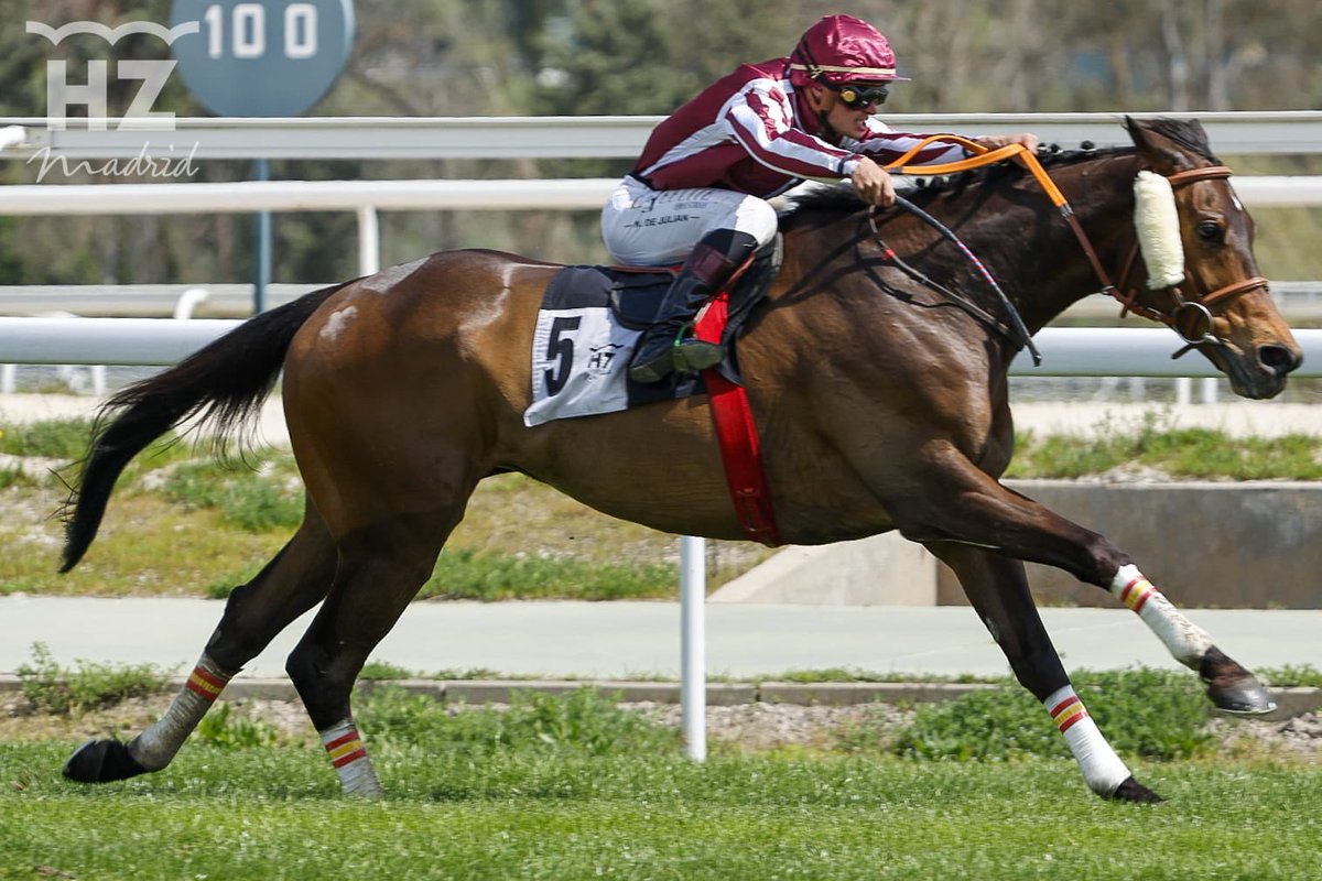 Orden definitivo de la sexta carrera, Premio Indian Prince:

🥇 Finely Tuned  
🥈 Jonah’s Lad
🥉 The Game