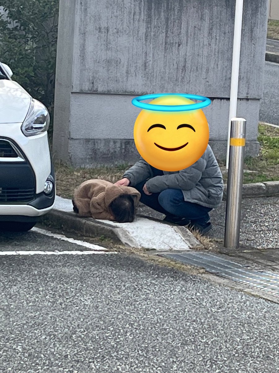 ねえ毎日これなんだけどwwwww
気に入らないとすぐ地面に突っ伏して泣き喚くでもなく静かにじーっと丸まるの…
最高に2歳児やってんな😌