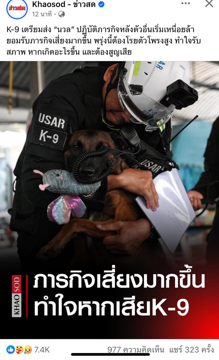 🩵พุดดิ้งรักพี่จองคัลแลน🩵 tweet media