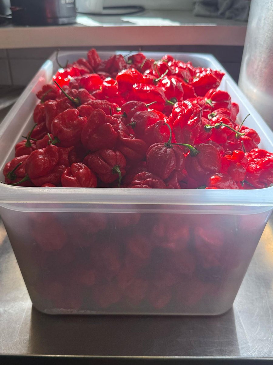 Stockpot Heroes challenge 2025
Saturday May 10th 12.00-18.00
Registration open at the Pot or online at stockpot.lv
Price- 18.00 euros
Dish-Tom Kha chicken or tofu
Chillies-south Carolina Reapers and Dragons breath
Finish the dish within 30 minutes and claim a t-shirt