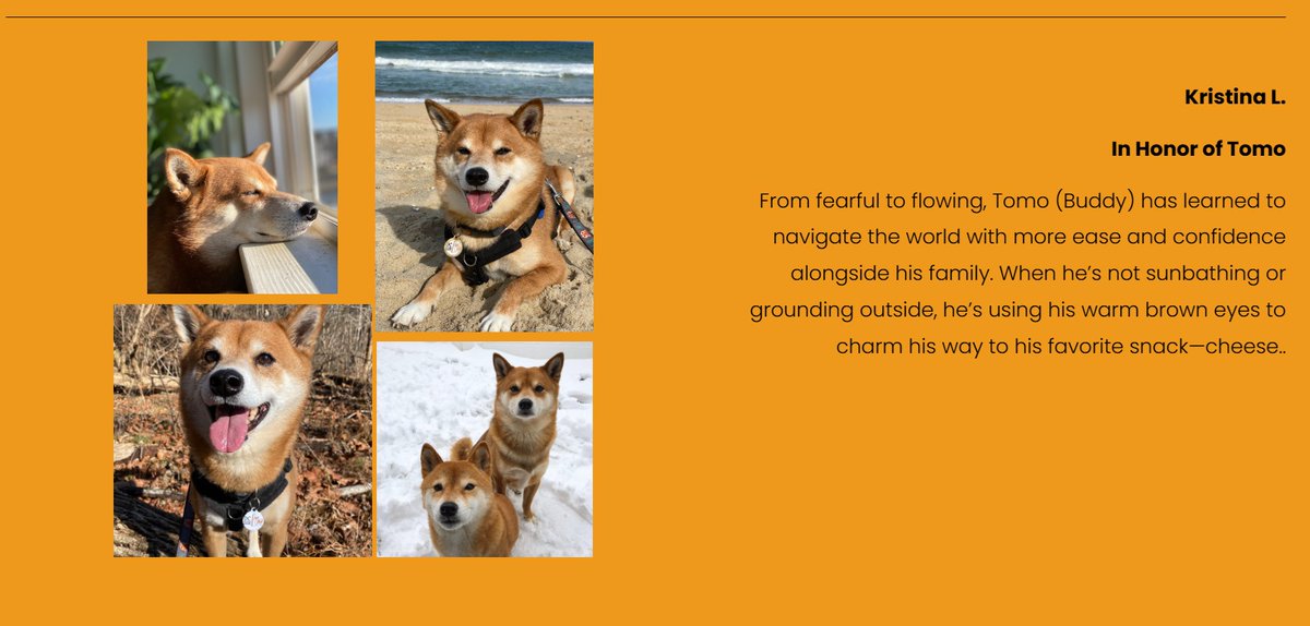 facebook.com/photo/?fbid=12…